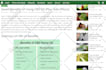 build 20 cbd links on cannabis, marijuana backlinks cbd guest post