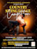 do an amazing flyer design