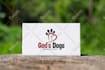 design a modern minimalist luxury logo design