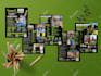 design business brochure, company profile, annual report, booklet, proposal