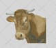 do embroidery digitizing your dog logo design in 1 hour