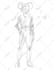 make stunning african american character illustration