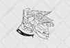 skull illustration design for streetwear clothing tshirt