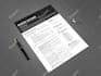 create professional resume design and CV design in 24 hours