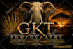 professionally edit, update, or vectorize your existing logo
