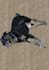 digitally paint or sketch your pet for you