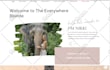 develop ecommerce wordpress website online store