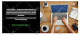build responsive wordpress website or blog development