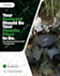 design social media posts, instagram post, facebook post, ads, fb ads, banners