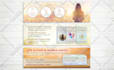 design outstanding amazon a plus content for your book cover