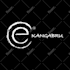 design company logo, modern, professional, fast delivery