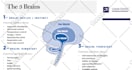 design powerpoint presentations, pitch decks, google slides
