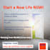 be your social media marketing manager and content creator