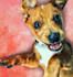 draw a pet potrait in digital oil painting