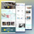 build wordpress website development for your business