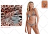 design unique seamless texture animal pattern, textile print, and packaging