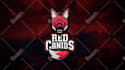 hello i will edit logo game design art