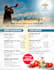 design a modern event flyer or marketing poster that converts