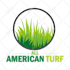 do professional pressure washing logo design