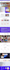 design premium wordpress website with divi theme
