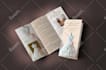 do a professional trifold brochure, bifold brochure and flyer design