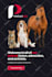 create an attractive pinterest video pin ads