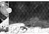 draw manga pages illustration