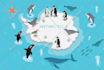 create isometric vector illustrations, infographics and maps