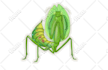 draw cute reptiles and bugs