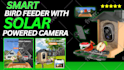 create automated cash cow faceless videos and youtube automation channel