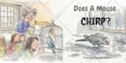 design children story book, child book illustration, picture book illustration