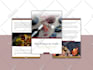 design professional ebook, workbook, lead magnet and PDF in canva