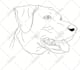 draw line art and stencil art