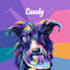 draw an awesome your pet into wpap pop art portrait style
