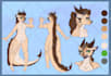 create a reference sheet of your character
