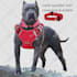 do professional bulk photo editing and high end portrait retouching