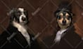 create a custom pet portrait, dog portrait, cat portrait