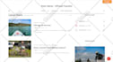 design a responsive wordpress website for your business