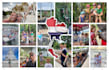 make a photo collage and custom shape collage