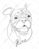 draw a minimalist pet remembrance line art from photo