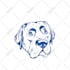 draw your cat,dog,and pet animal line art in 3 hours