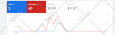 setup your google ads campaigns in english and arabic
