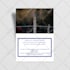 design professional presentation folder within only 12 hours