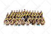 green screen background removal cut out images 24 hours