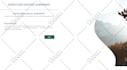 pro supply chain services for freight logistics, import and export documentation