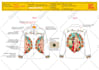 do fashion design and tech pack
