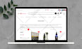 design or redesign a stunning, fast, and responsive wordpress website