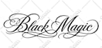 design font, text, typography, wordmark, hand drawn, vintage and retro logo