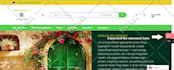 create ecommerce wordpress website