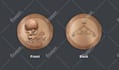create production ready medal, coin and badge vector designs